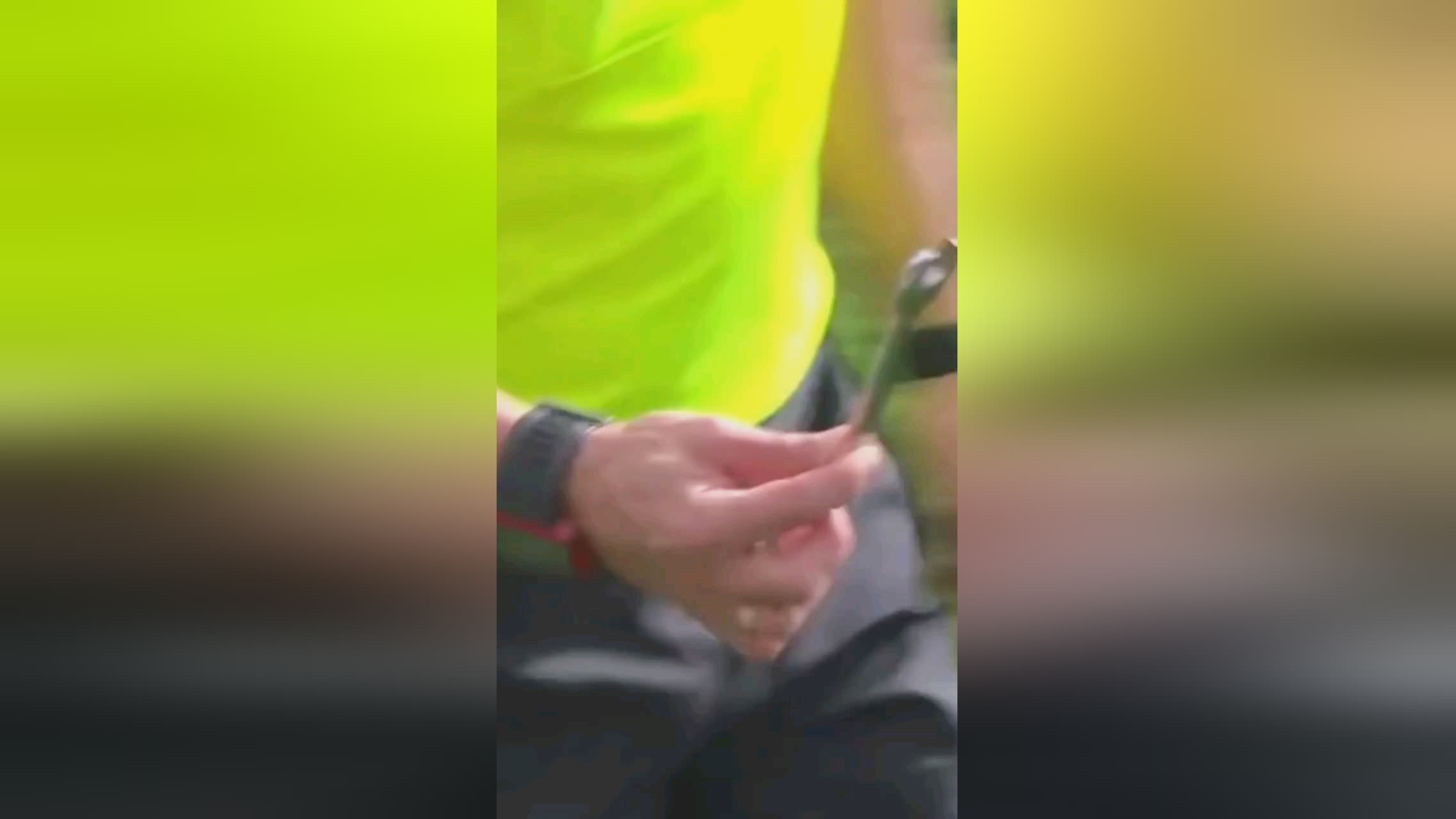 称金